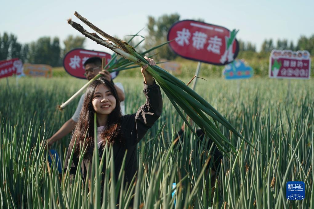 广东九博科技