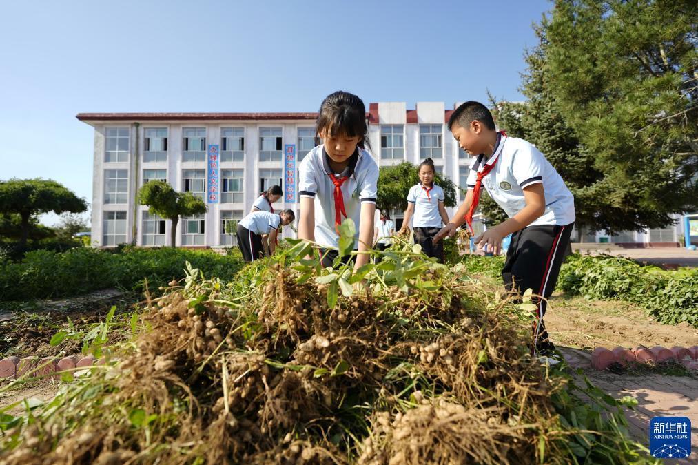 捕鱼达人2电脑单机
